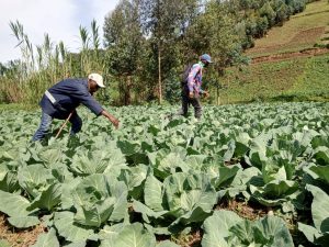 finance communautaire en Afrique COOPEC ABK / ACPDI asbl