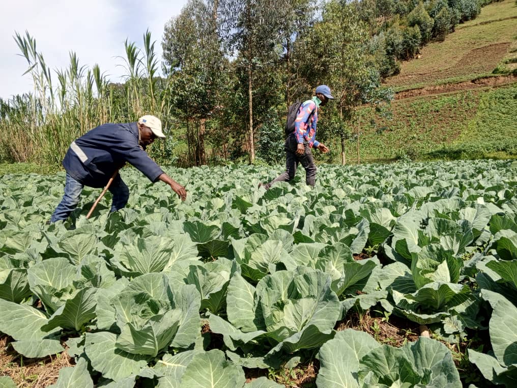 finance communautaire en Afrique COOPEC ABK / ACPDI asbl